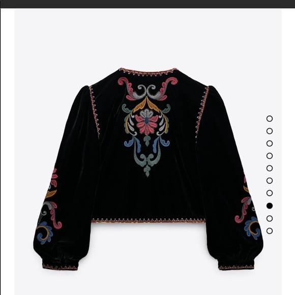 LAST βπΌ ZARA NWT EMBROIDERED VELVET BLAZER π₯ - Picture 11 of 14